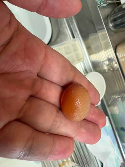 卵を割ったら出てきた小さな卵