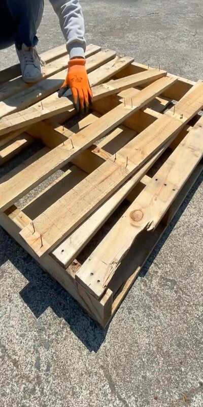 投稿動画のワンシーン