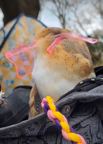 投稿動画のワンシーン