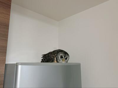 投稿写真