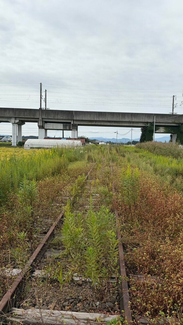 宮城県を走っていた「くりはら田園鉄道」 廃線跡と新幹線が交差するスポットにノスタルジックな風景が広がっていた！