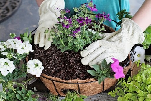 StephanieFrey/istockphoto.com