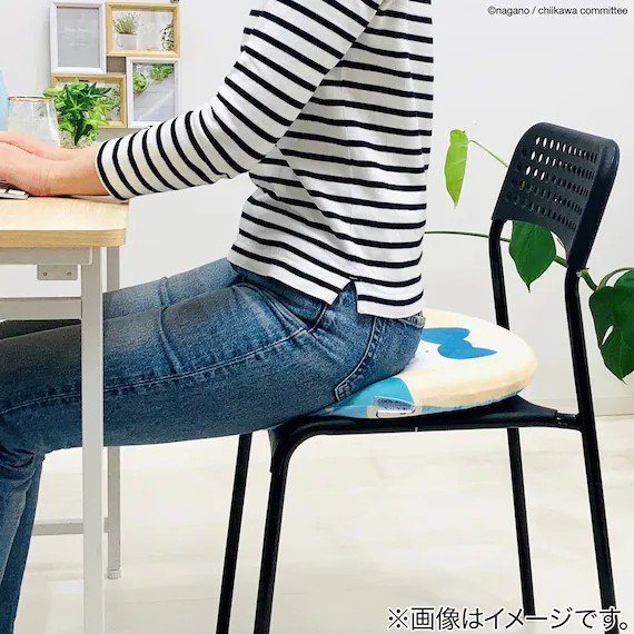 直径約40cmと様々な椅子にフィットしやすい大きさ