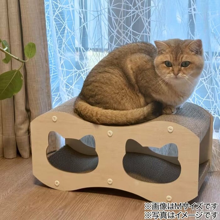 爪をとぐ際に本体がズレにくいのも助かります