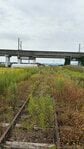 宮城県を走っていた「くりはら田園鉄道」 廃線跡と新幹線が交差するスポットにノスタルジックな風景が広がっていた！