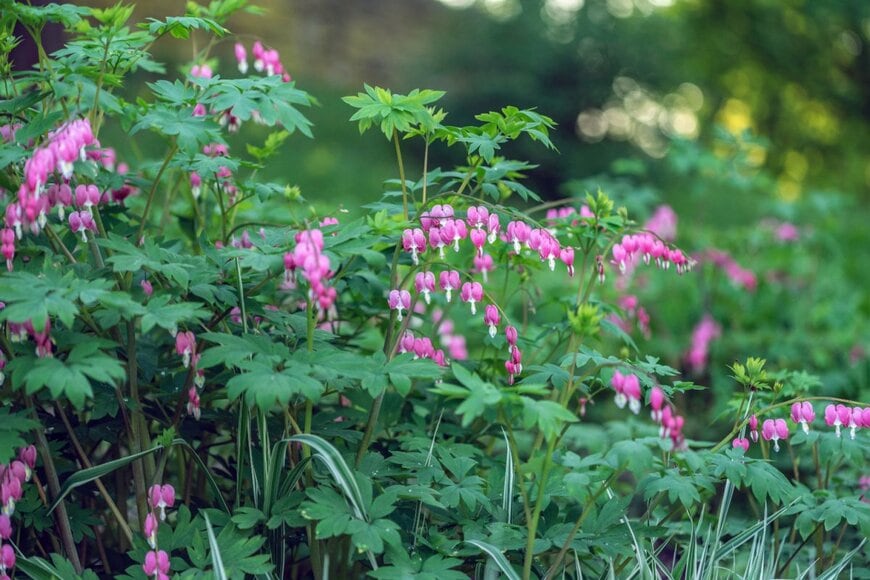 Julija Kumpinovica/shutterstock.com