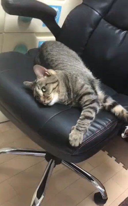 出所：@mero627puri914