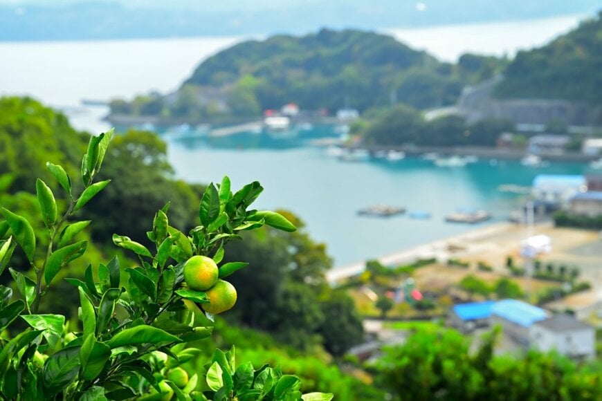 hayakato/shutterstock.com