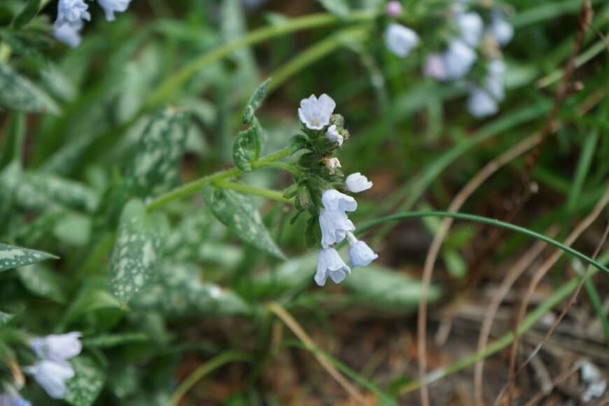 crystaldream/shutterstock.com