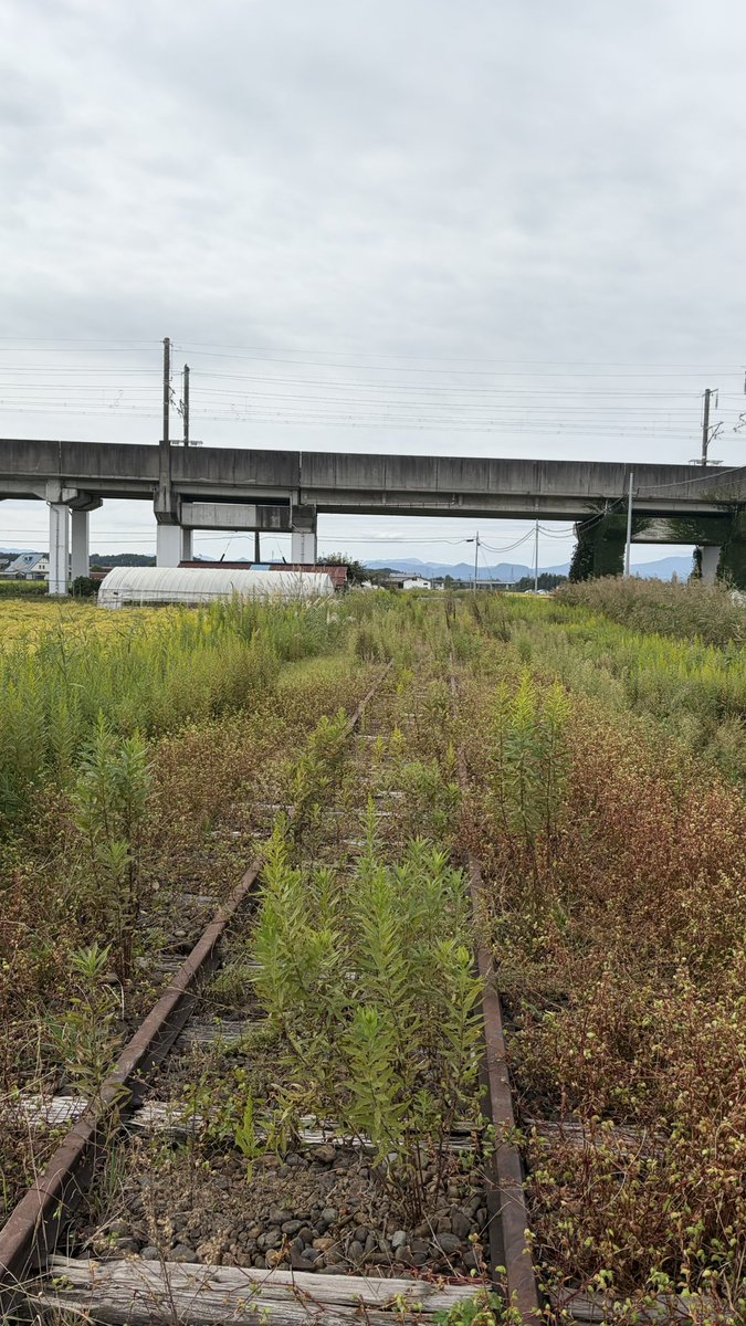宮城県を走っていた「くりはら田園鉄道」 廃線跡と新幹線が交差するスポットにノスタルジックな風景が広がっていた！