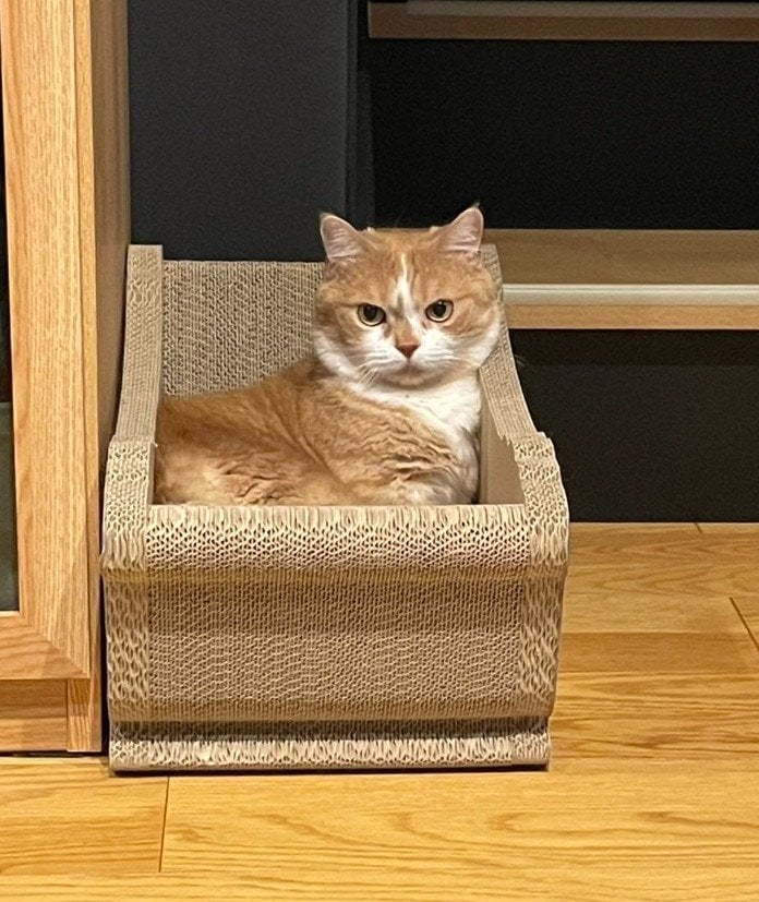 出所：@kotaro_0315