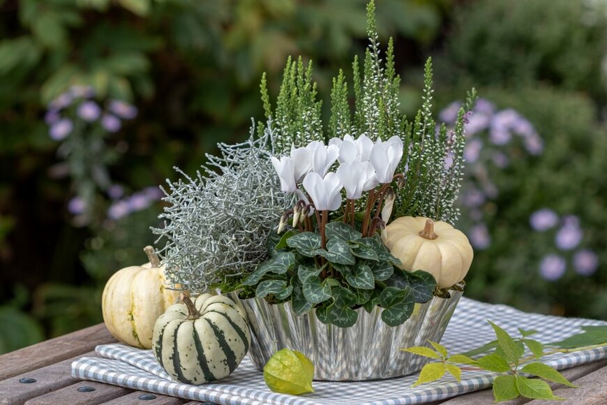 Natalia Greeske/shutterstock.com