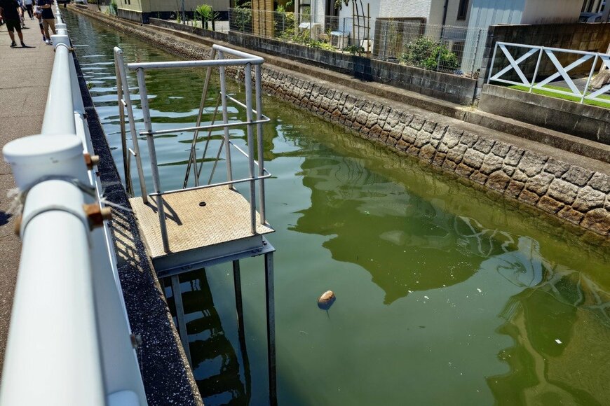 福岡県の住宅街で目撃された「絶滅危惧種」　思わず二度見してしまう光景が話題に