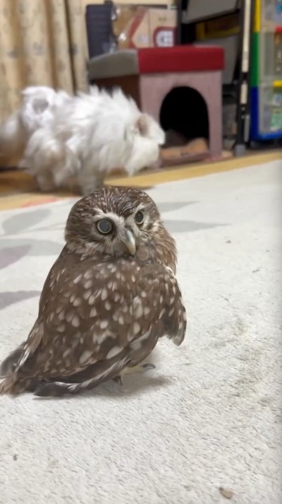 出所：@cr8673.hiro