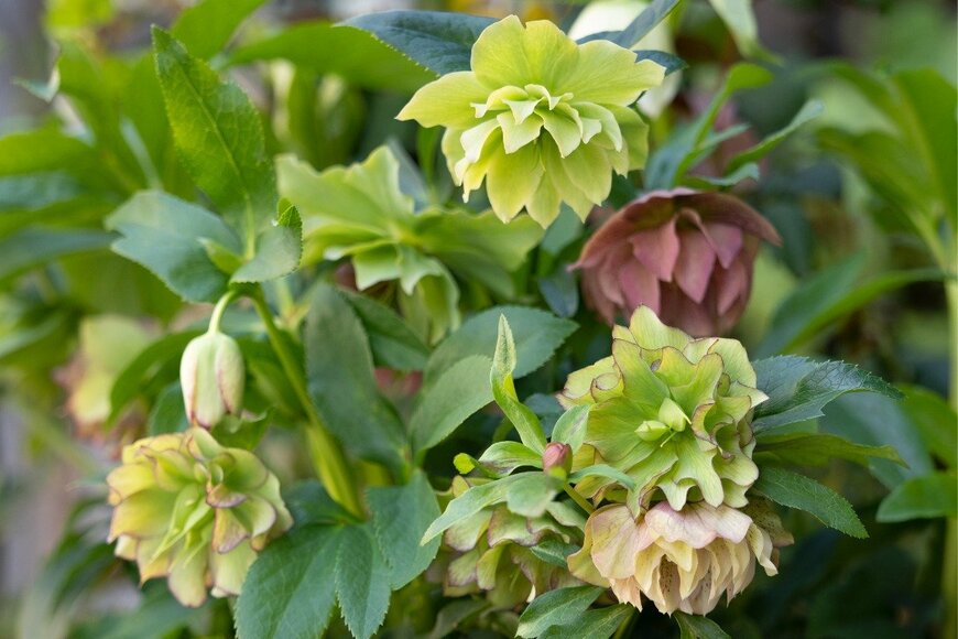 y-studio/istockphoto.com