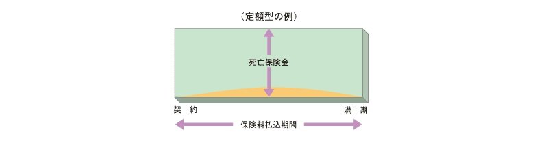 出典：公益財団法人　生命保険文化センター「定期保険」