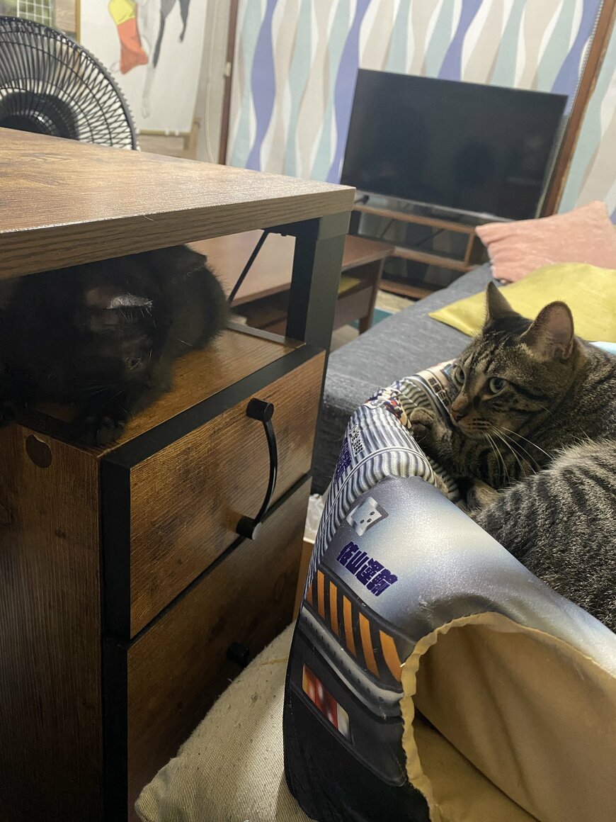 出所：@00shitemita