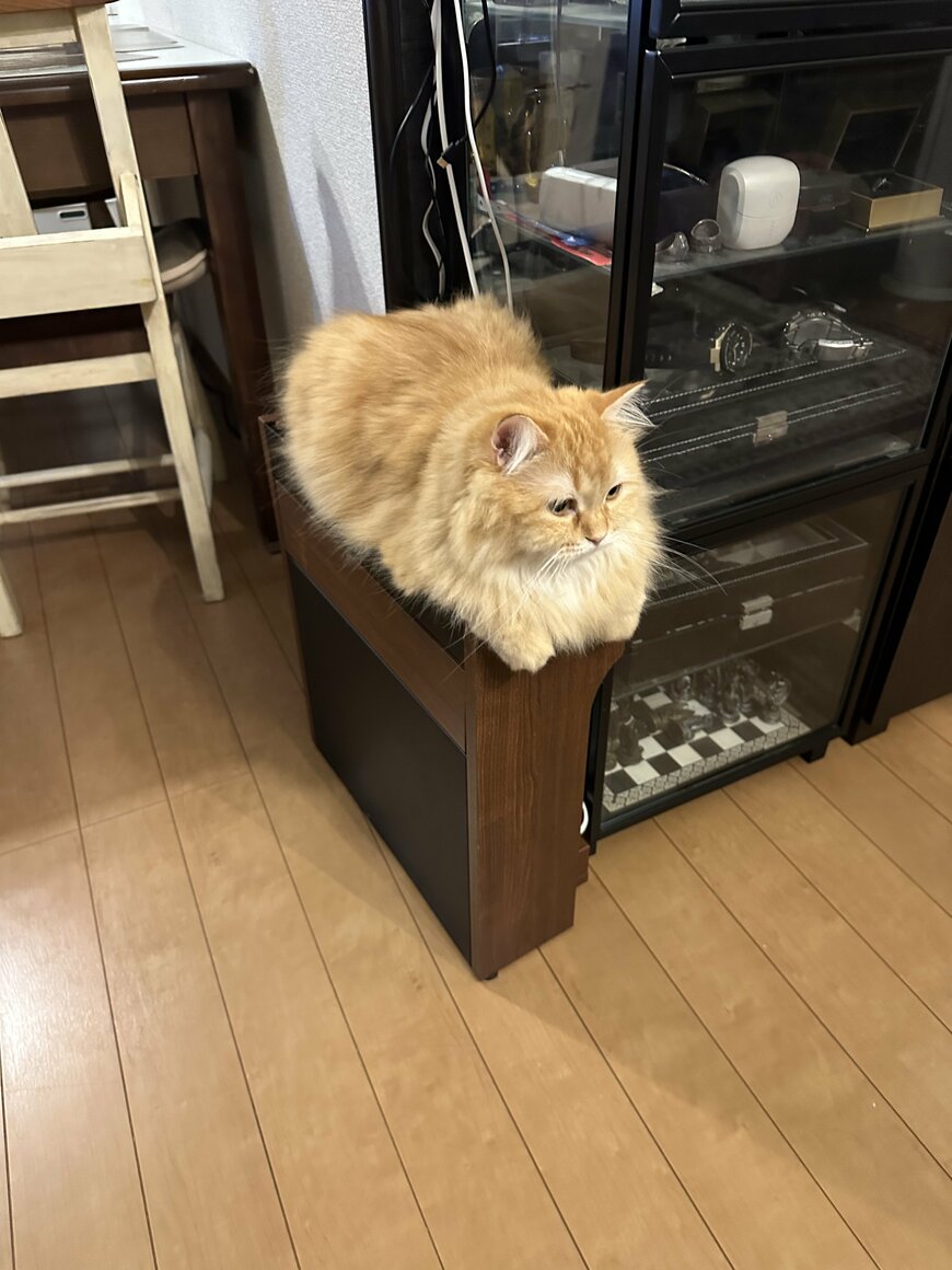 出所：@NEKOLAND13