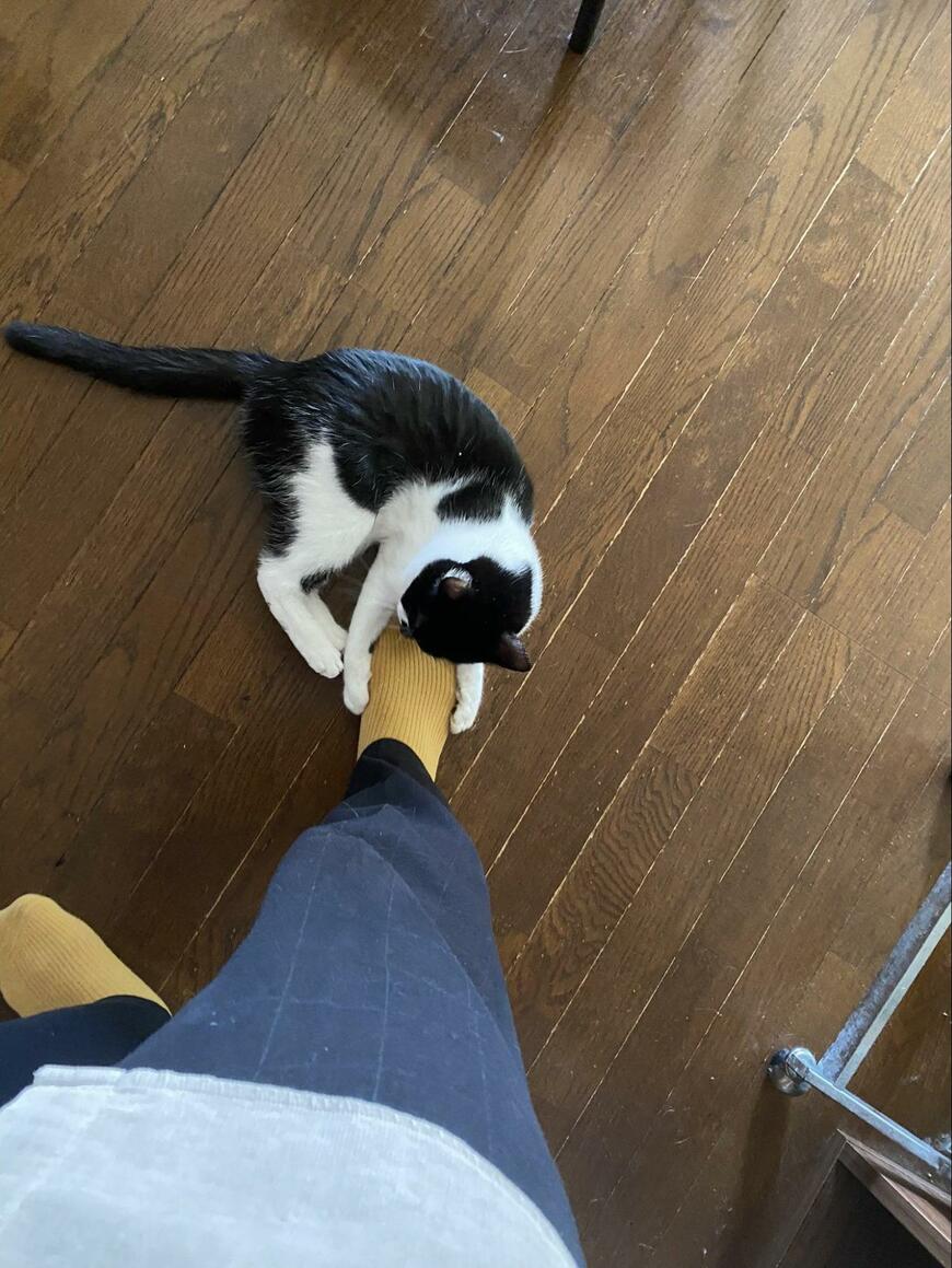 出所：@00shitemita 