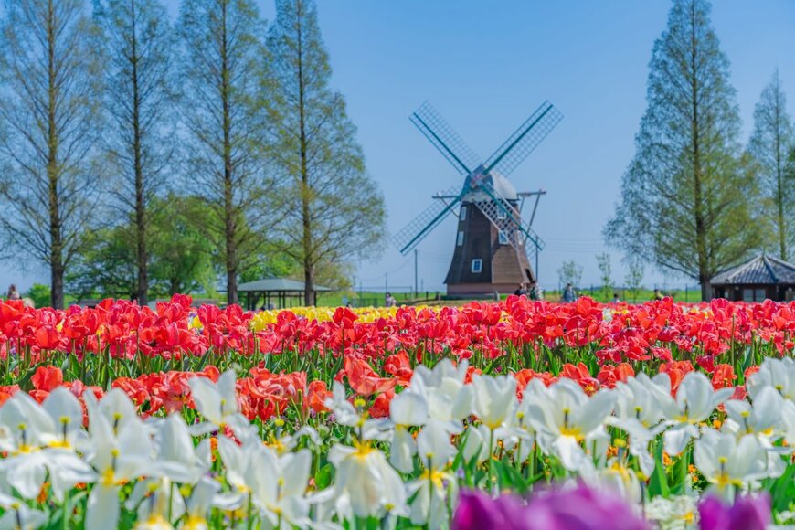 aki_tk/shutterstock.com