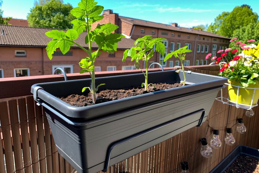 Lapa Smile/Shutterstock.com