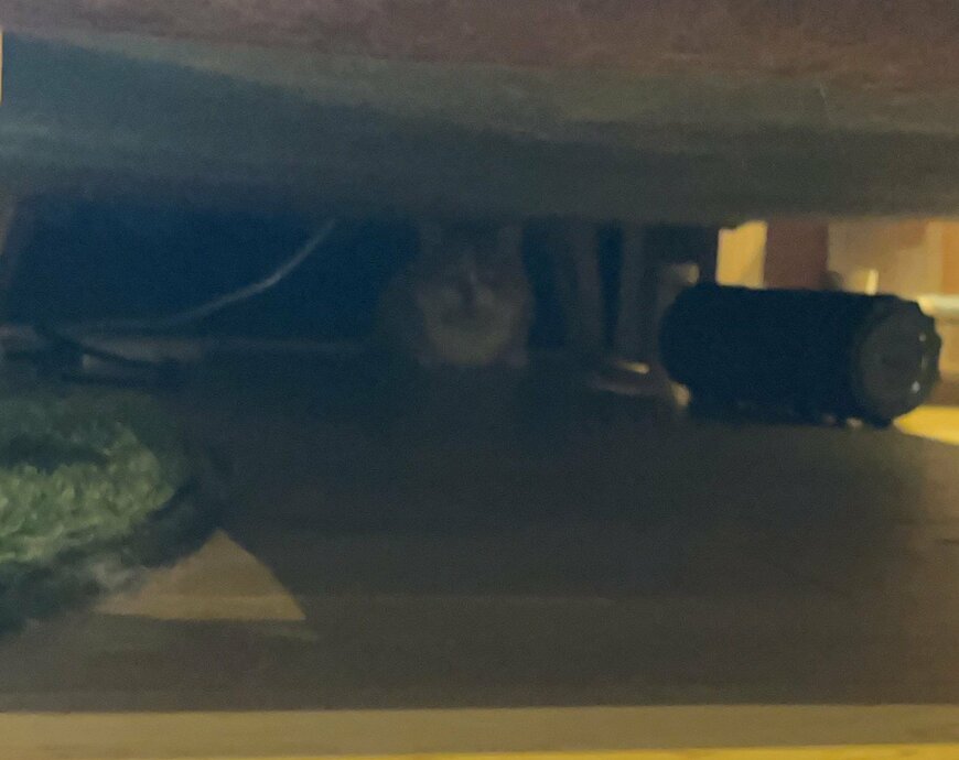 出所：@kotaro_0315