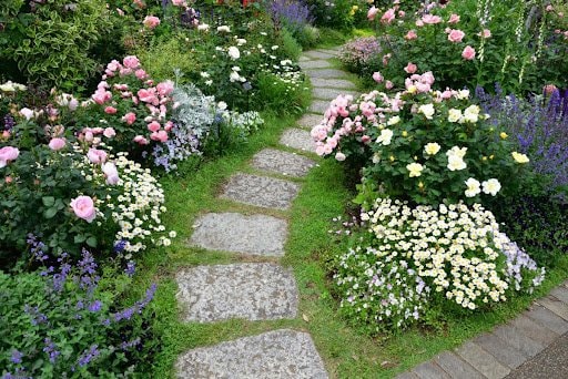 Matthewshutter/shutterstock.com