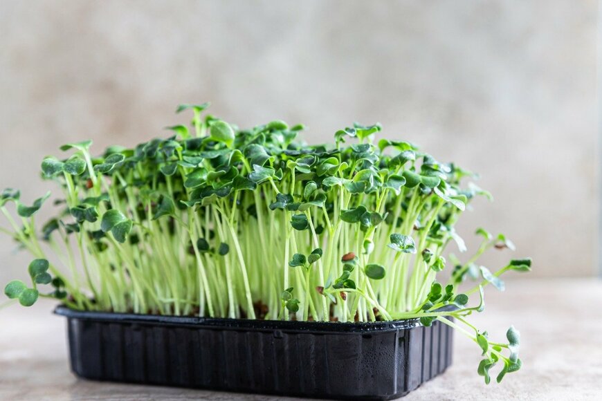 porosolka/istockphoto.com