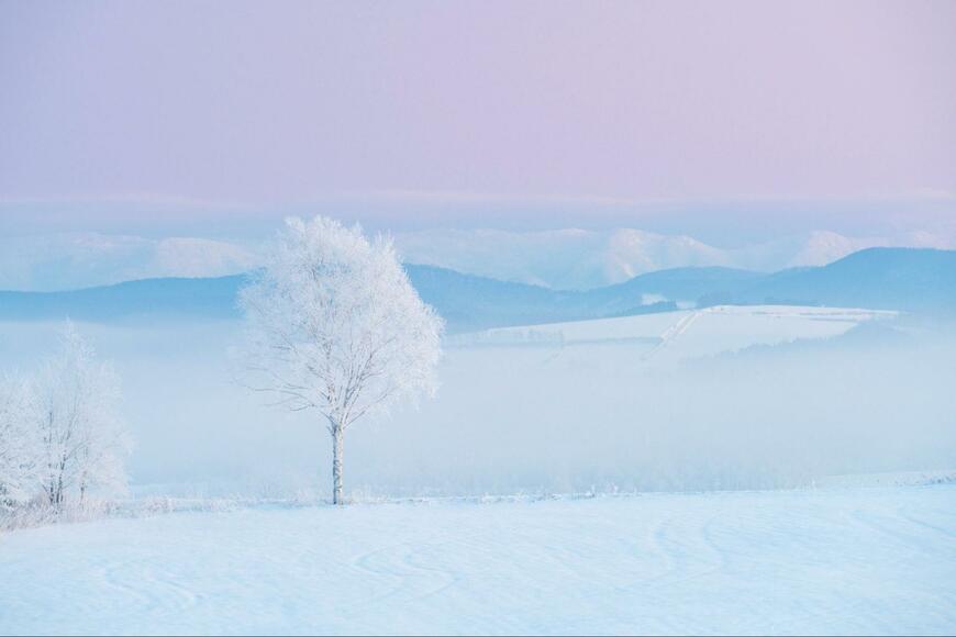 冬の北海道で撮影された絵画のような光景　息を呑む美しさに驚きの声
