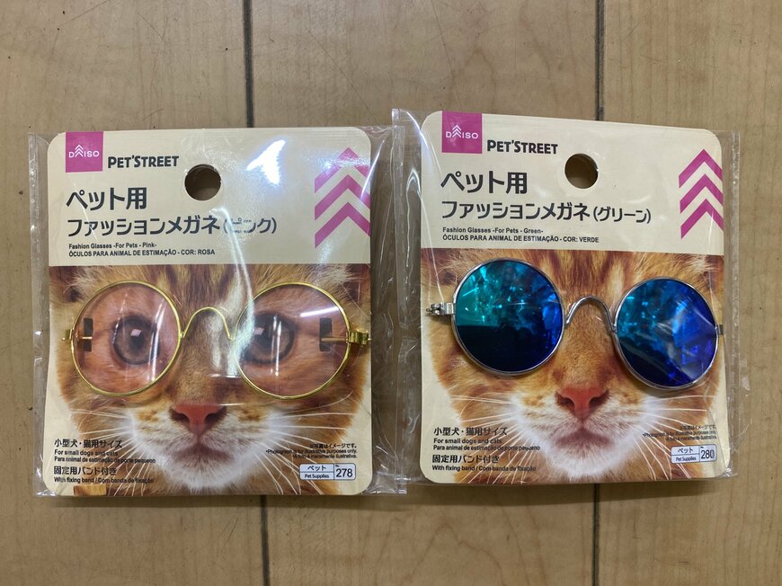【ダイソー】110円『ペット用ファッションメガネ』可愛すぎでSNSでシェア多数