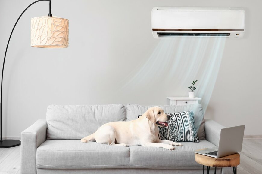 屋内でも熱中症に要注意。エアコンの節電と両立する方法はあるのか