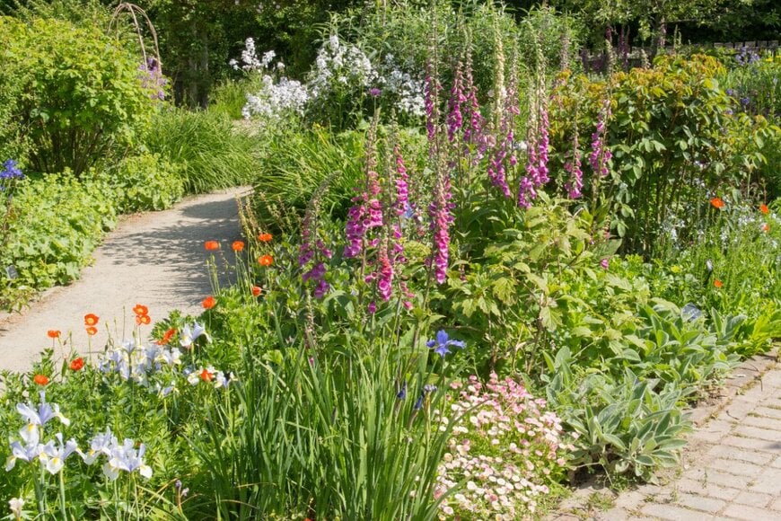 花壇に植えられた色とりどりの花