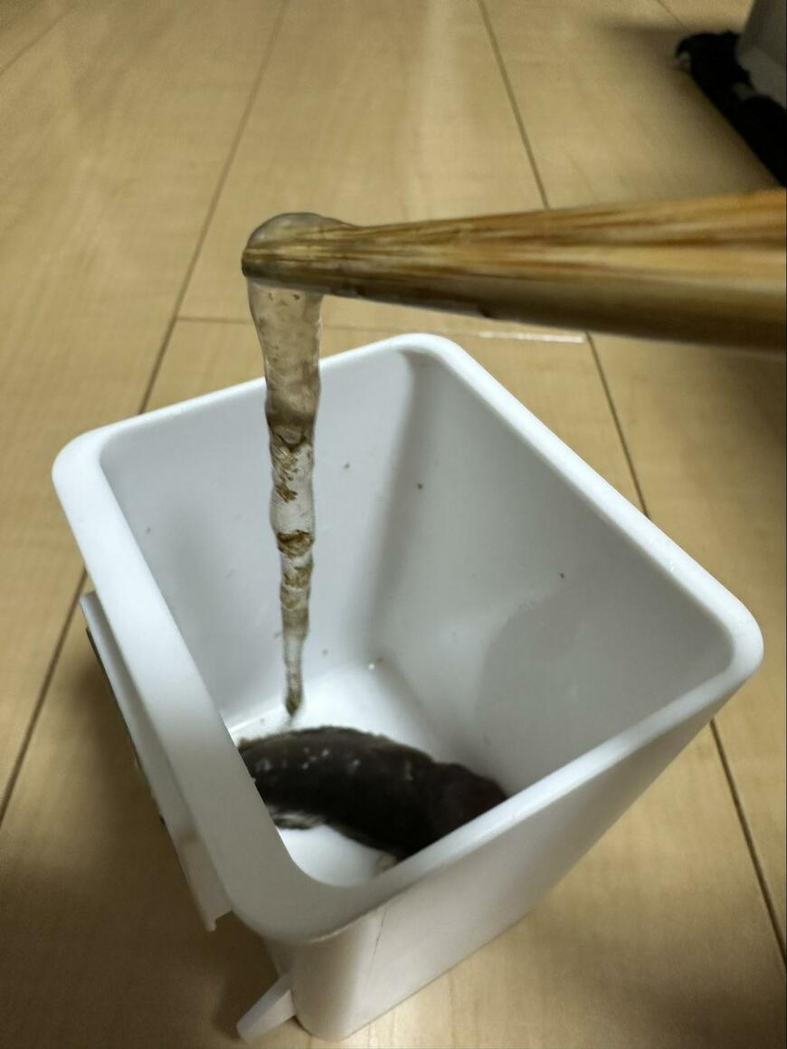 釣り針についてきた物体