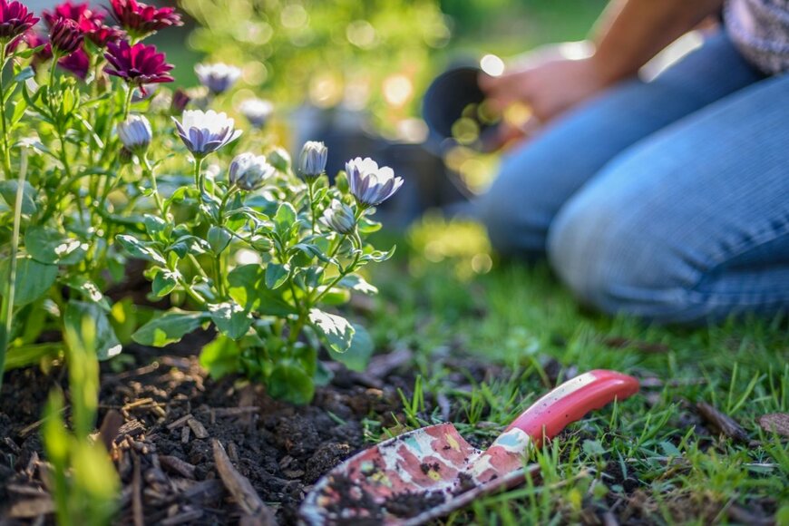 花壇に花を植えている人の写真