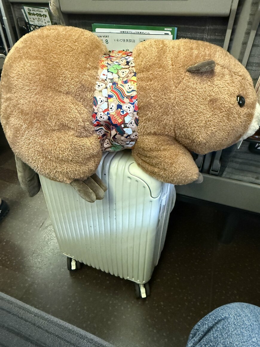 キャリーで運ぶアメリカビーバーのぬいぐるみ