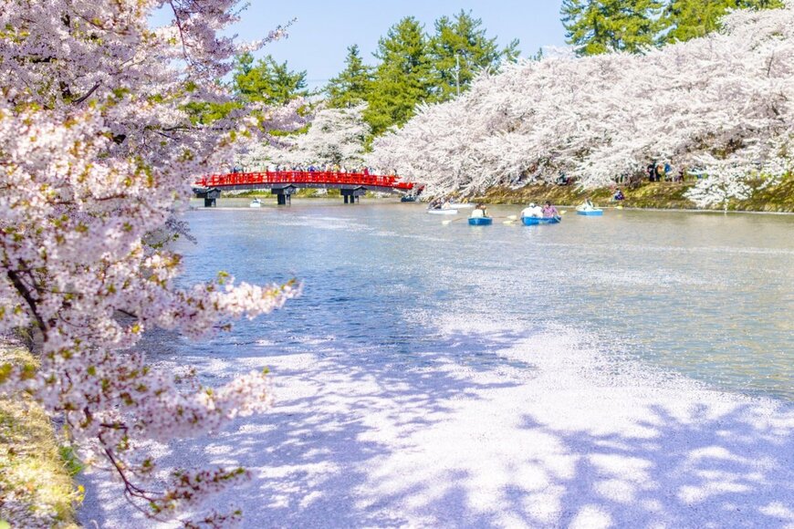 弘前公園の花筏