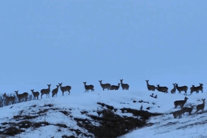 北海道のドライブルートで撮影