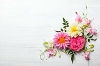 【2026年度】東京都内の《給付金》自治体が独自に実施する事例を3つ解説「練馬区・荒川区・新宿区」