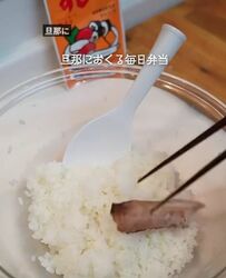 【旦那さんのために作るお弁当記録】ダルメシアン柄の卵焼きが入ったおにぎり弁当「天才的」と話題に