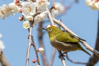 【老齢年金】4月から3年連続の増額も、暮らし向き「ゆとりがなくなってきた」の回答が57.1％に