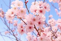 名古屋の駅に設置されたホワイトボード 　卒業生へのメッセージが「素敵すぎる」「染みます」と反響