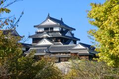 愛媛県で目撃された「正岡子規の肖像」のデザインに注目集まる　横を向く姿が有効活用された状態に「こういうとこ、好き」