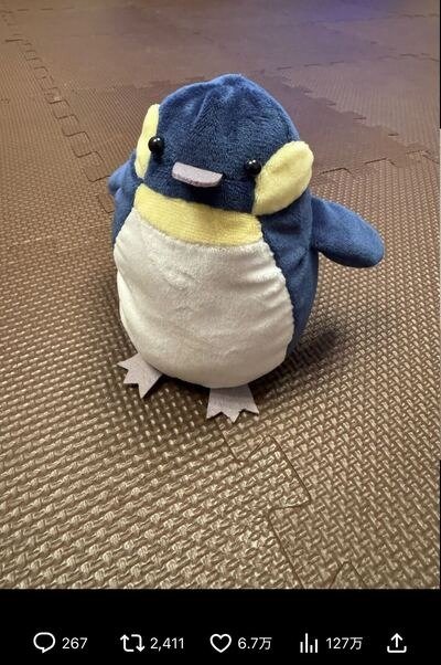 北川景子のX投稿