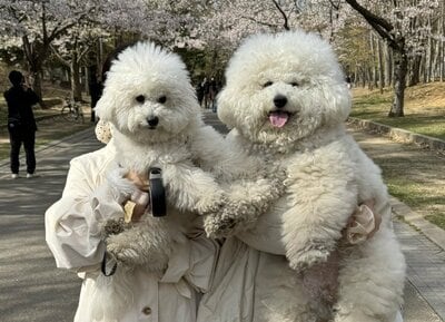 投稿の画像