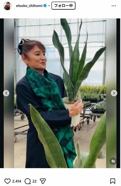 志穂美悦子のInstagram投稿