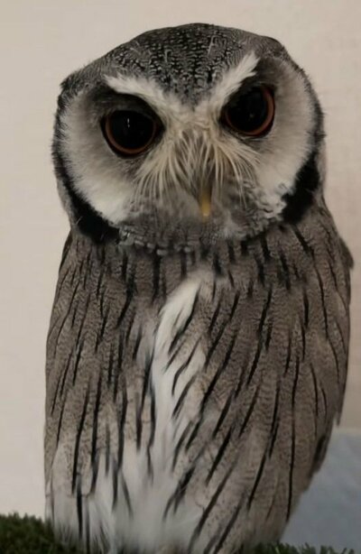 投稿動画のワンシーン