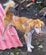 【動物レスキュー】鎖に繋がれた『やせ細った犬2匹』を救出　深刻な状態から回復を遂げた姿に感動