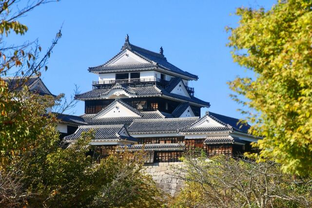 愛媛県で目撃された「正岡子規の肖像」のデザインに注目集まる　横を向く姿が有効活用された状態に「こういうとこ、好き」