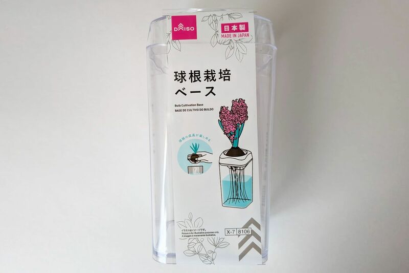 ダイソー　球根栽培ベース