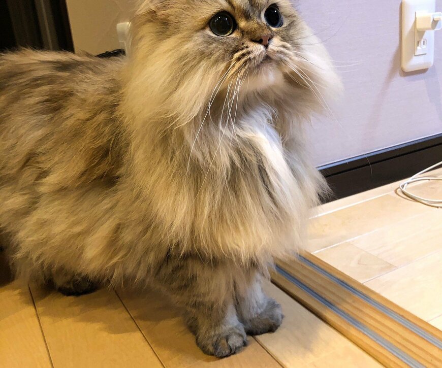 出所：@UphQepCv8J